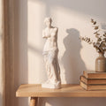 Escultura Vênus de Milo em gesso cru sobre estante de madeira clara com livros e vaso de eucalipto seco